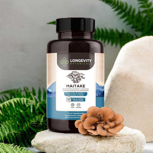 Maitake Capsules Mushroom 10:1 Extract (120 count) Balance Your Wellness Naturally