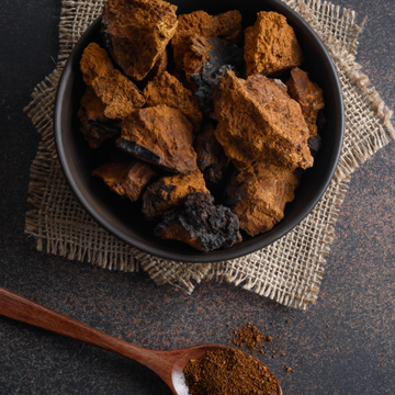 How to Use Chaga Mushroom Powder? 10 Ideas You’ll Love