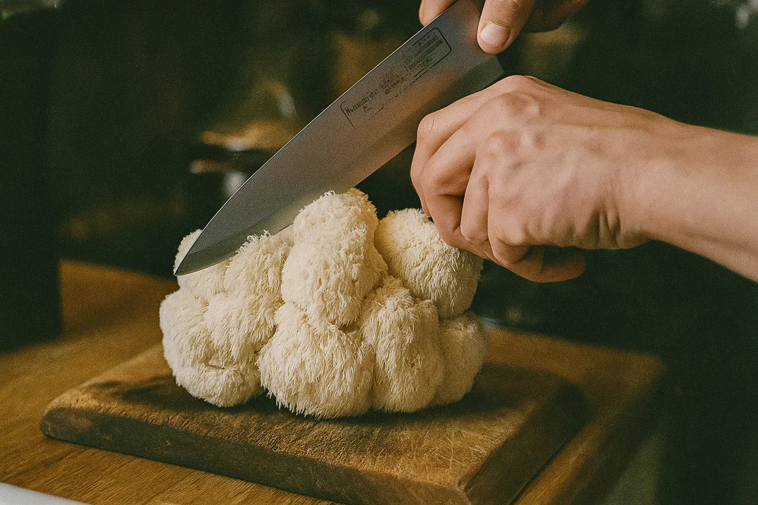 Lion’s Mane For Neuroprotection, NGF Pathways Made Simple