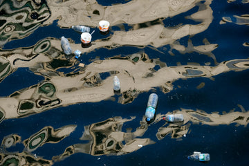 Plastic-Eating Mushrooms: The Fungal Revolution Cleaning Up Our Oceans
