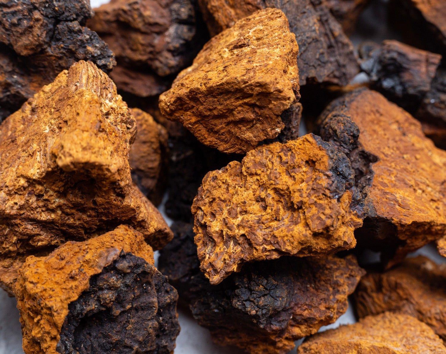 Chaga Mushroom Benefits for Skin: Antioxidant-Rich Natural Remedy