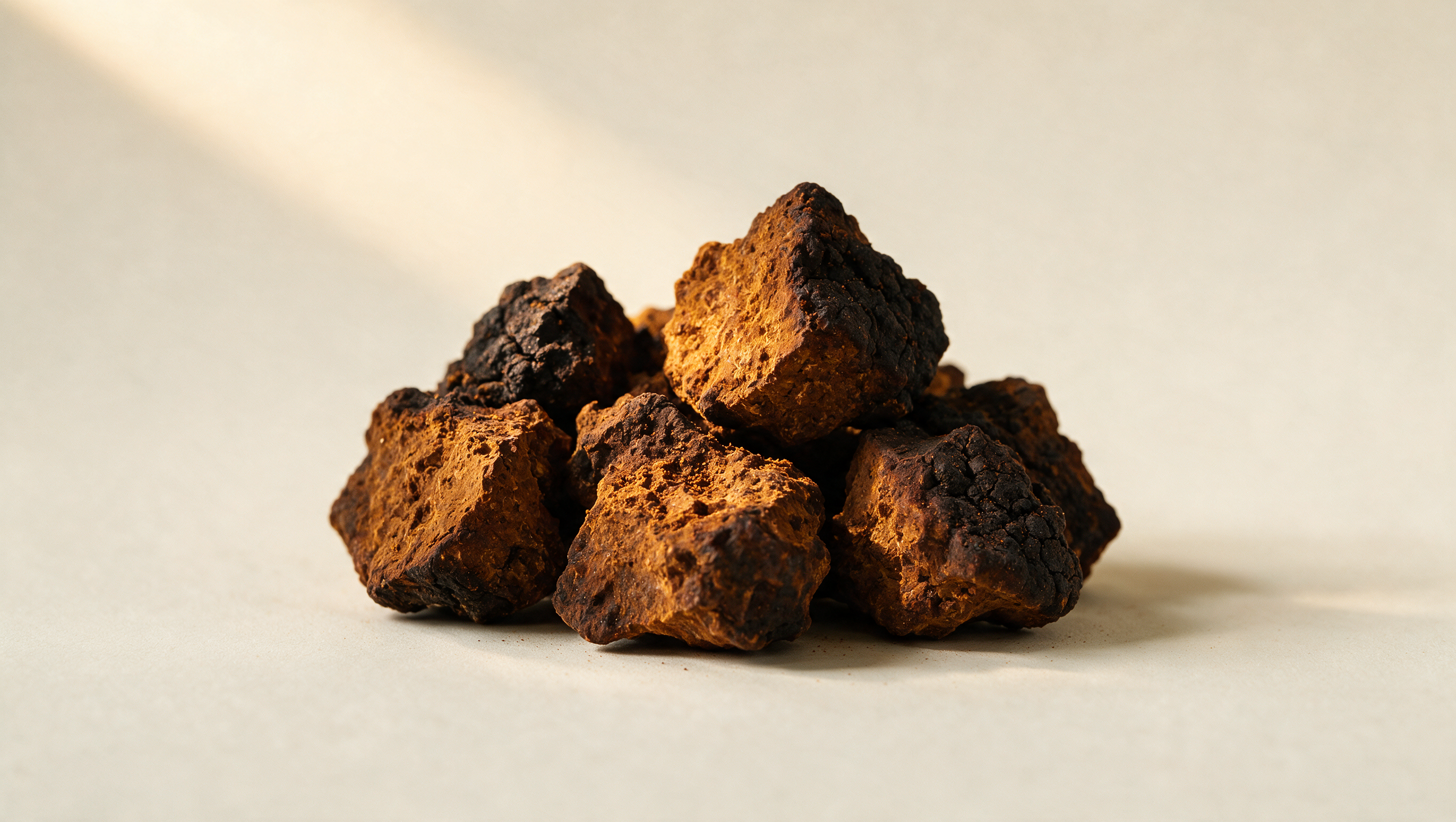 chaga mushroom supplements