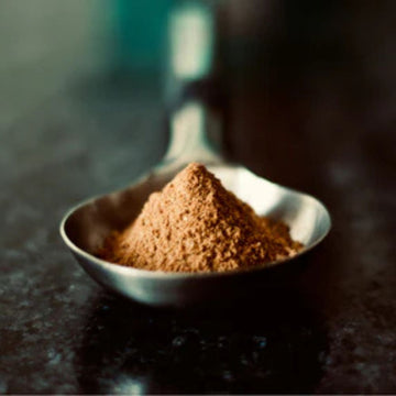 Bulk Mushroom Powder Extracts