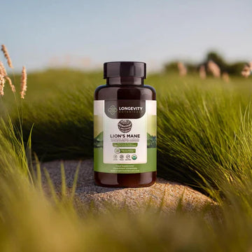Mushroom Capsules Supplements