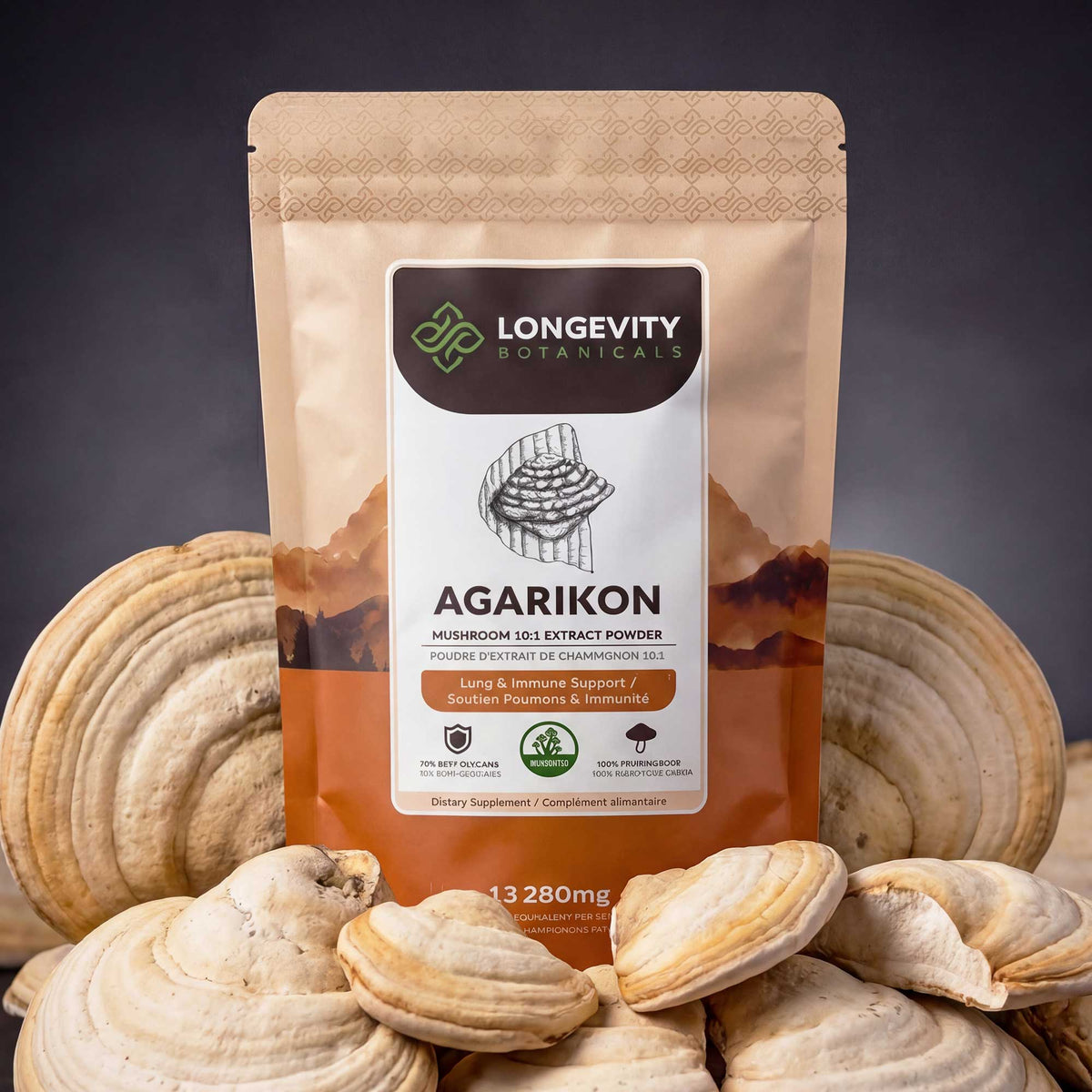 Wildcrafted Agarikon Mushroom Powder 10:1 Extract