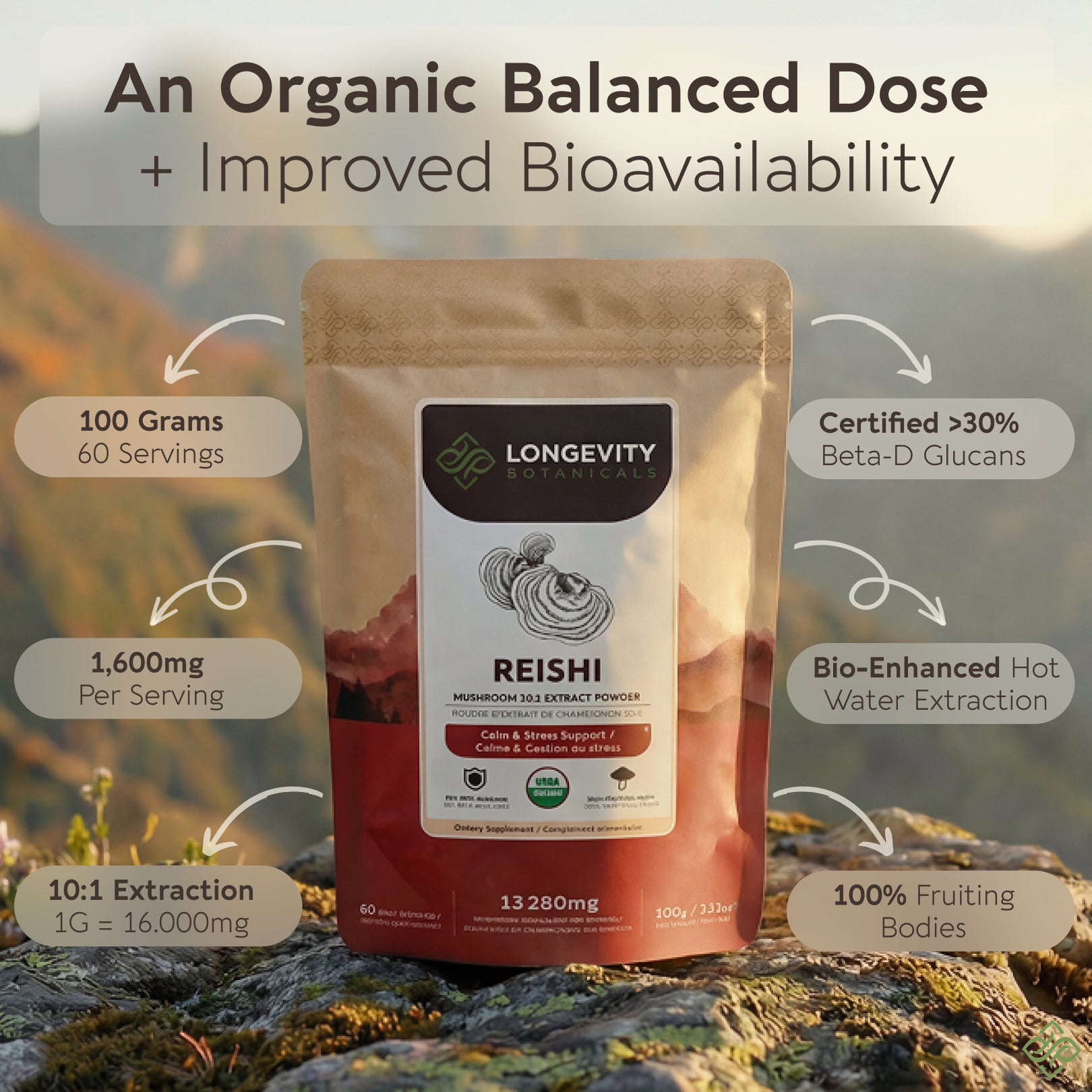 Bulk Reishi Powder Mushroom 10:1 Extract (1 KG / 2.2 LB)
