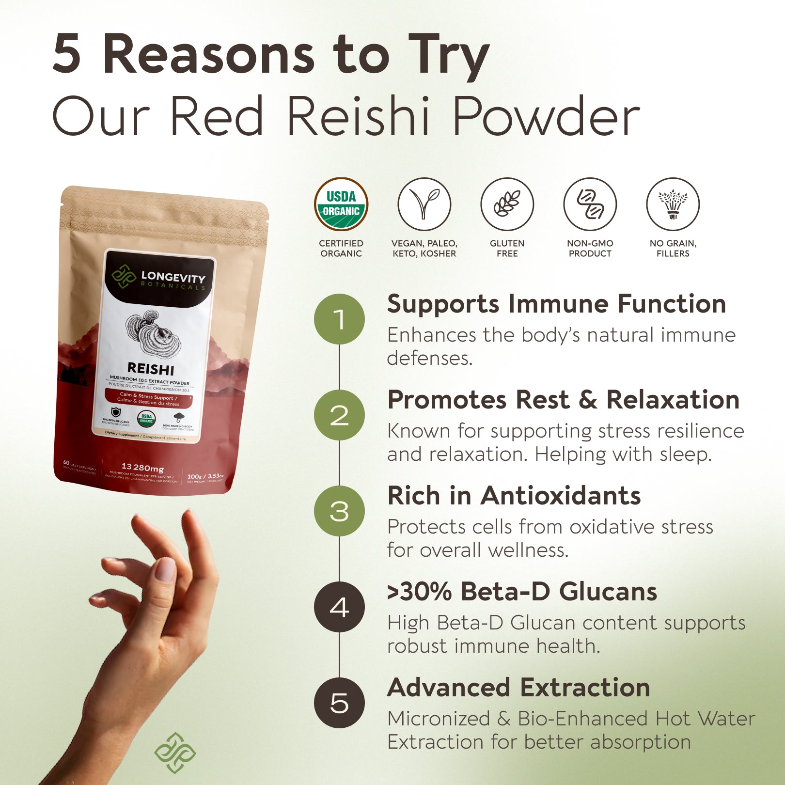 Bulk Reishi Powder Mushroom 10:1 Extract (1 KG / 2.2 LB)
