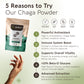 Chaga Mushroom Powder 10:1 Extract. Immune System & Cellular Health Aid (3.5oz / 100g)