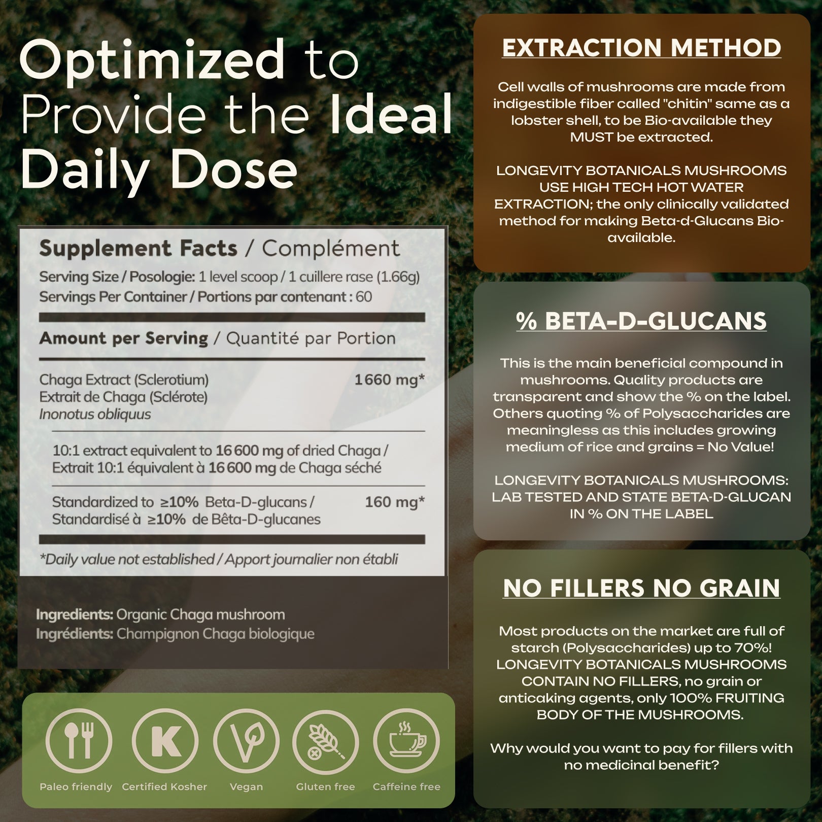 Bulk Chaga Powder Mushroom 10:1 Extract (1 KG / 2.2 LB)