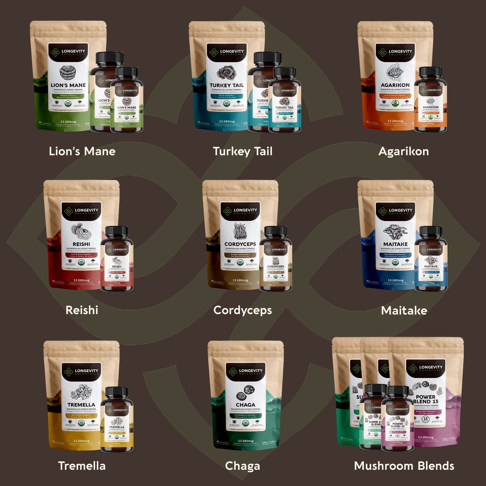 Bulk Chaga Powder Mushroom 10:1 Extract (1 KG / 2.2 LB)