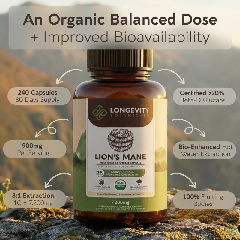 Organic Lion's Mane Capsules Mushroom 8:1 Extract, image 2