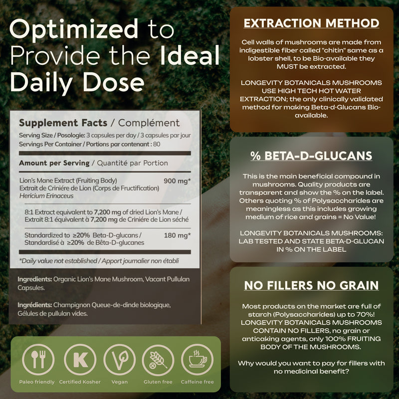 Organic Lion's Mane Capsules Mushroom 8:1 Extract, image 7