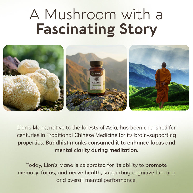 Organic Lion's Mane Capsules Mushroom 8:1 Extract, image 8
