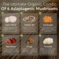 Super Six Mushroom Blend Powder 10:1 Extract. Reishi, Cordyceps, Lion’s Mane, Chaga, Tremella & Turkey Tail (3.5oz / 100g)