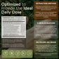 Super Six Mushroom Blend Powder 10:1 Extract. Reishi, Cordyceps, Lion’s Mane, Chaga, Tremella & Turkey Tail (3.5oz / 100g)