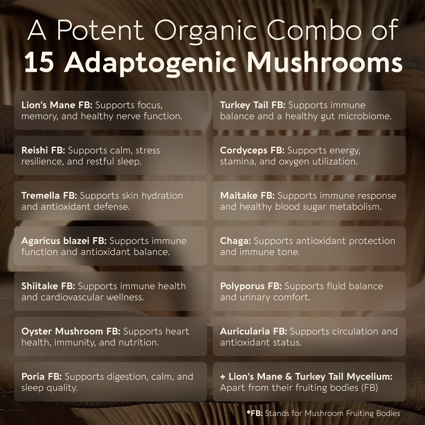 Power Blend 15 Mushroom Powder 10:1 Extract. All in One Body & Mind Support (3.5oz / 100g)