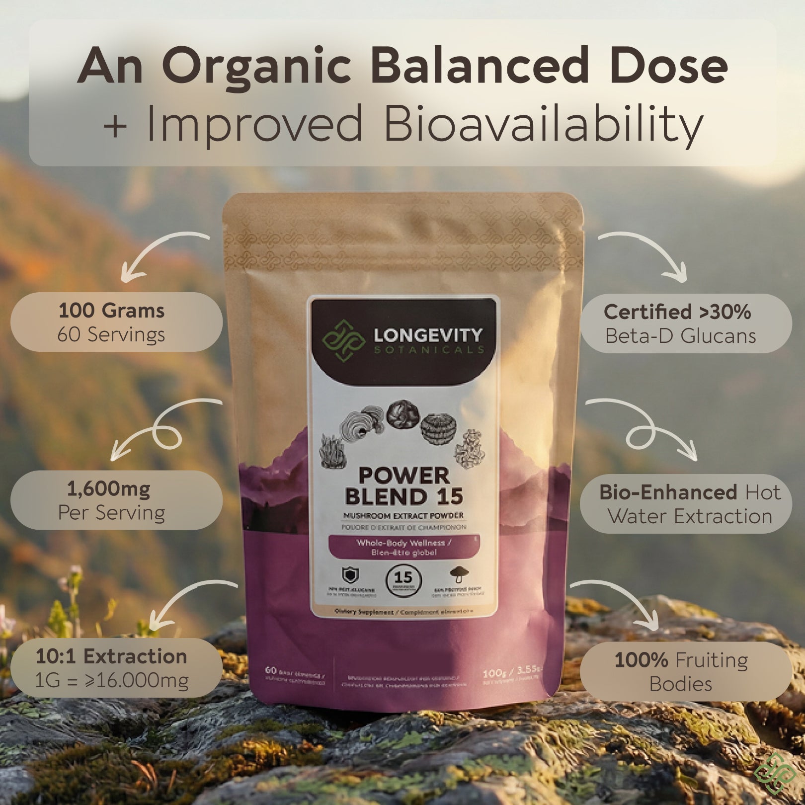 Power Blend 15 Mushroom Powder 10:1 Extract. All in One Body & Mind Support (3.5oz / 100g)