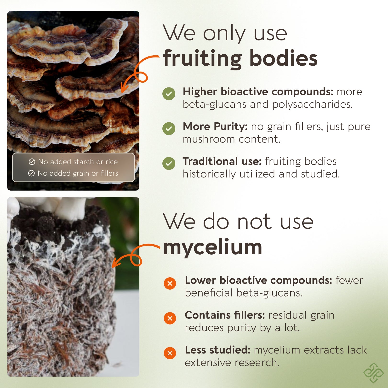 Power Blend 15 Mushroom Powder 10:1 Extract. All in One Body & Mind Support (3.5oz / 100g)