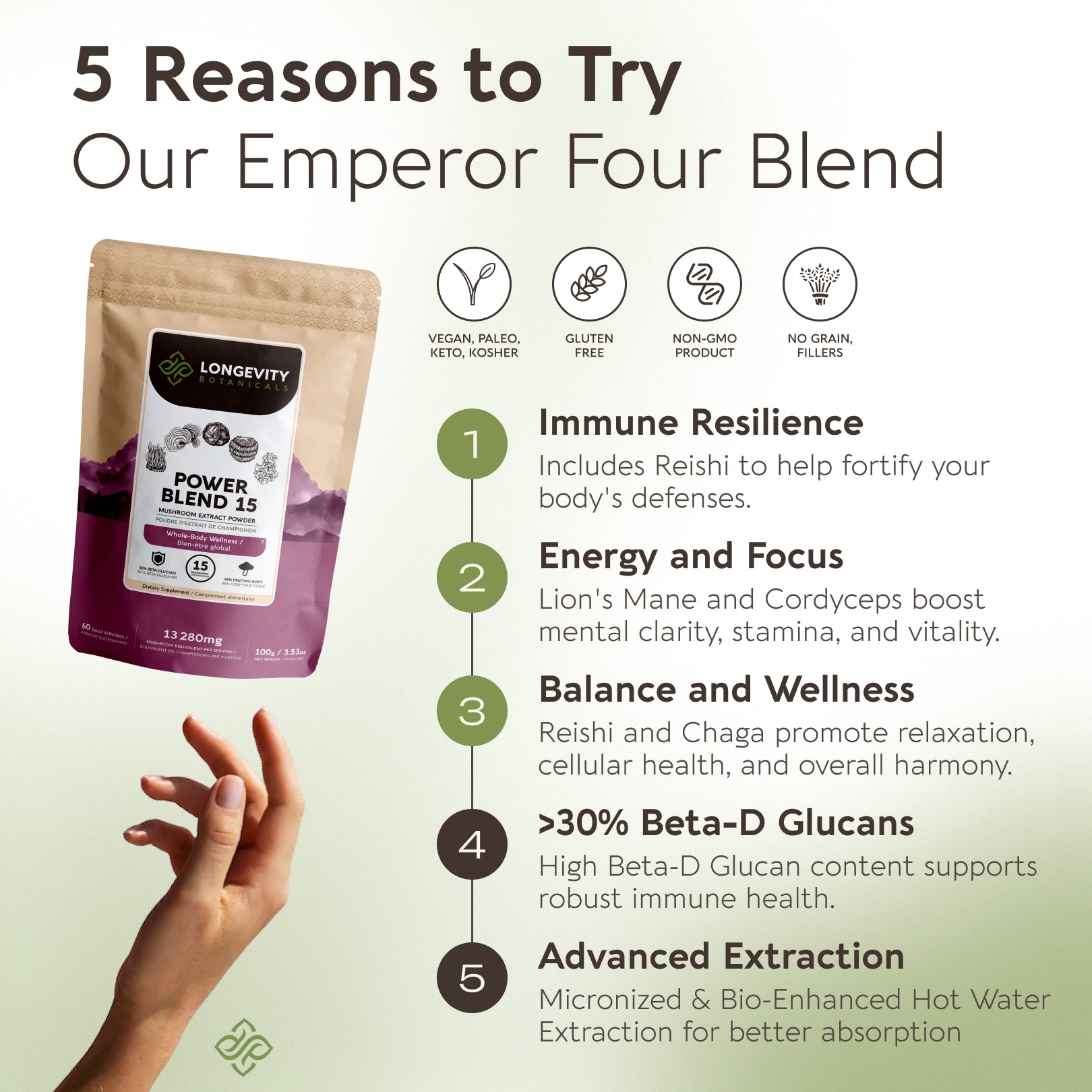 Power Blend 15 Mushroom Powder 10:1 Extract. All in One Body & Mind Support (3.5oz / 100g)