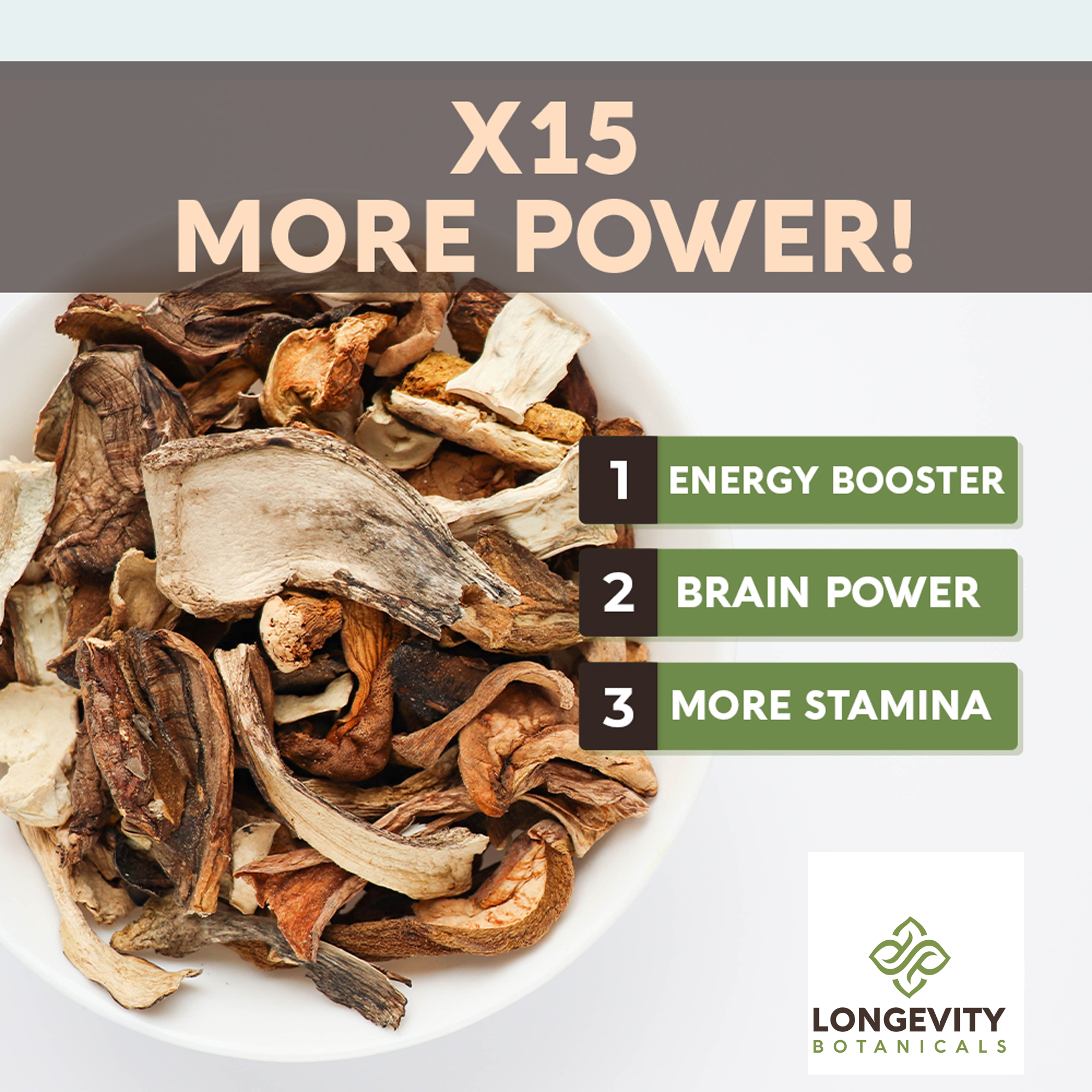 Power Blend 15 Mushroom Powder 10:1 Extract. All in One Body & Mind Support (3.5oz / 100g) - LongevityBotanicals Mushrooms