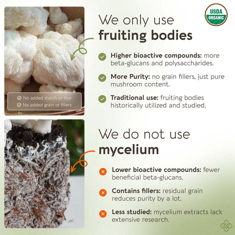 Organic Lion's Mane Mushroom Powder 8:1 Extract, image 3