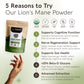 Organic Lion's Mane Mushroom Powder 8:1 Extract. Fuel for a Sharper Mind (3.5oz / 100g)