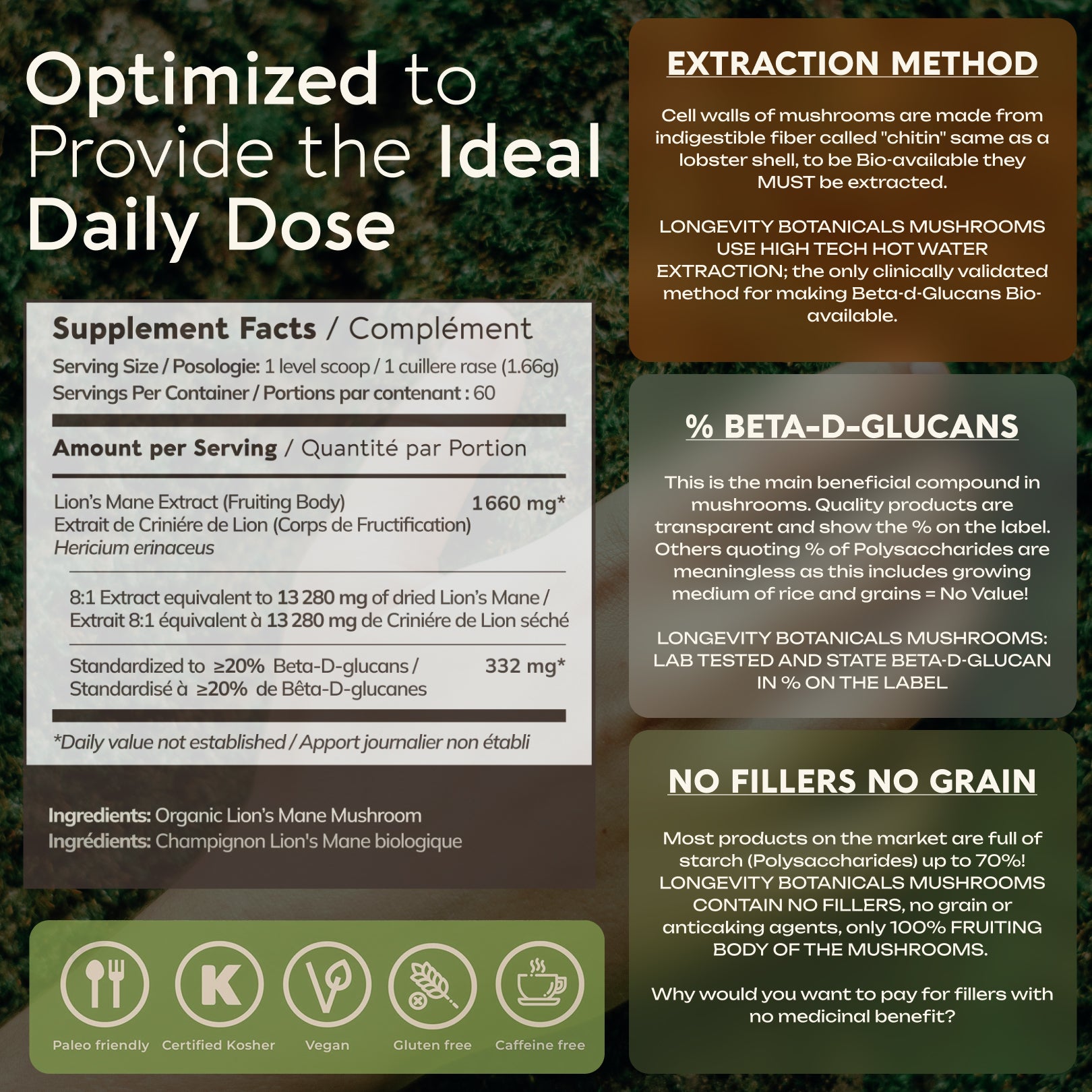 Bulk Lion's Mane Powder Mushroom 8:1 Extract (1 KG / 2.2 LB)