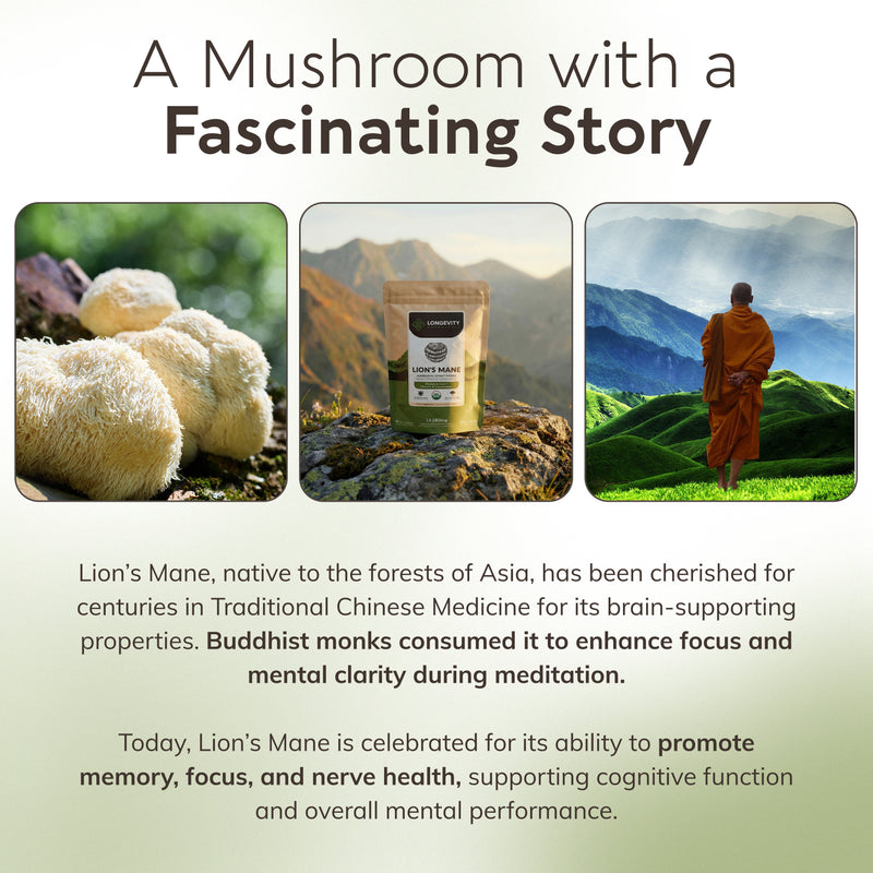 Organic Lion's Mane Mushroom Powder 8:1 Extract, image 8