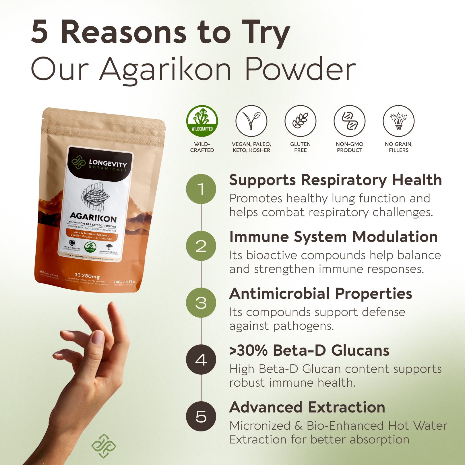 Bulk Agarikon Powder Mushroom 10:1 Extract (1 KG / 2.2 LB) (Wildcrafted)