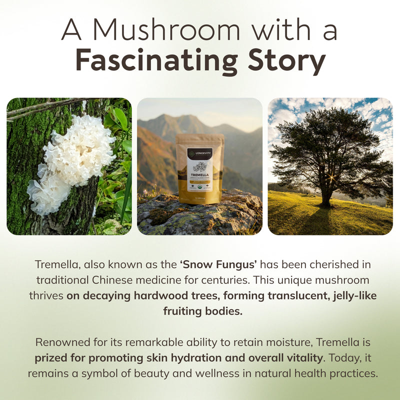 Organic Tremella Mushroom Powder 10:1 Extract, image 7