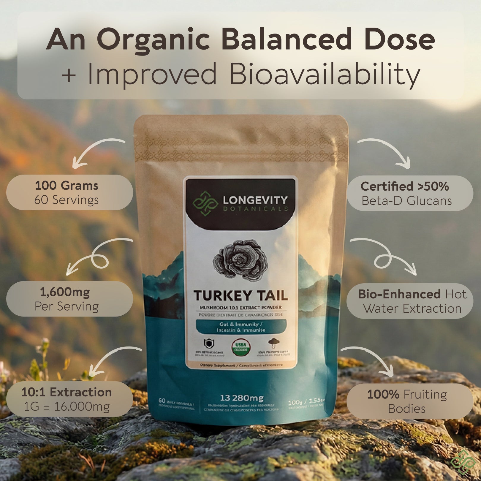 Bulk Turkey Tail Powder - Mushroom 10:1 Extract  (1 KG / 2.2 LB)