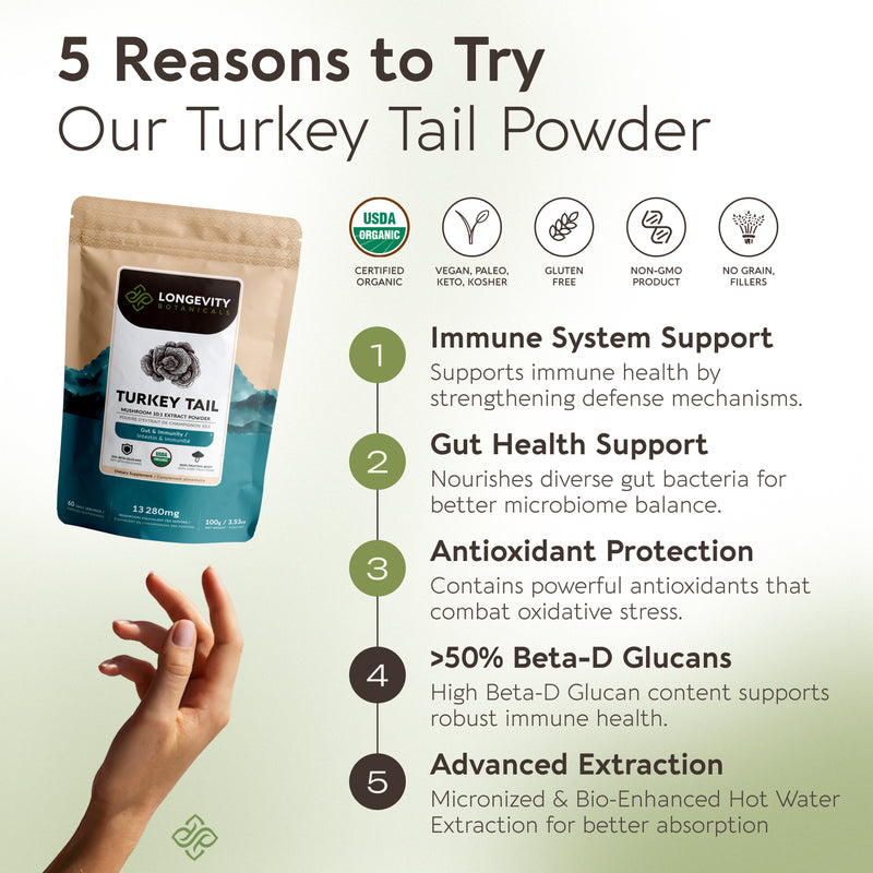 Organic Turkey Tail Mushroom Powder 10:1 Extract, image 5