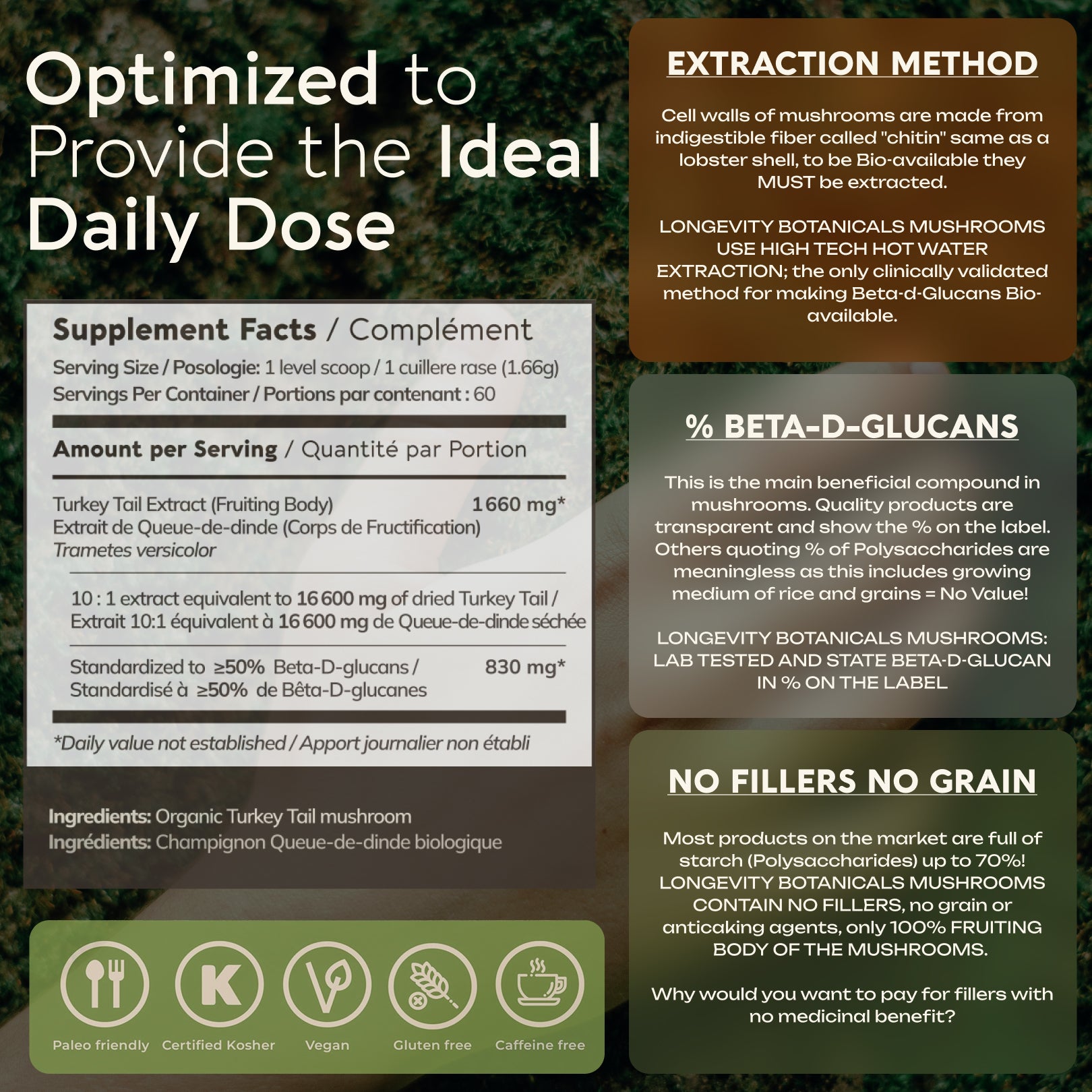 Bulk Turkey Tail Powder - Mushroom 10:1 Extract  (1 KG / 2.2 LB)