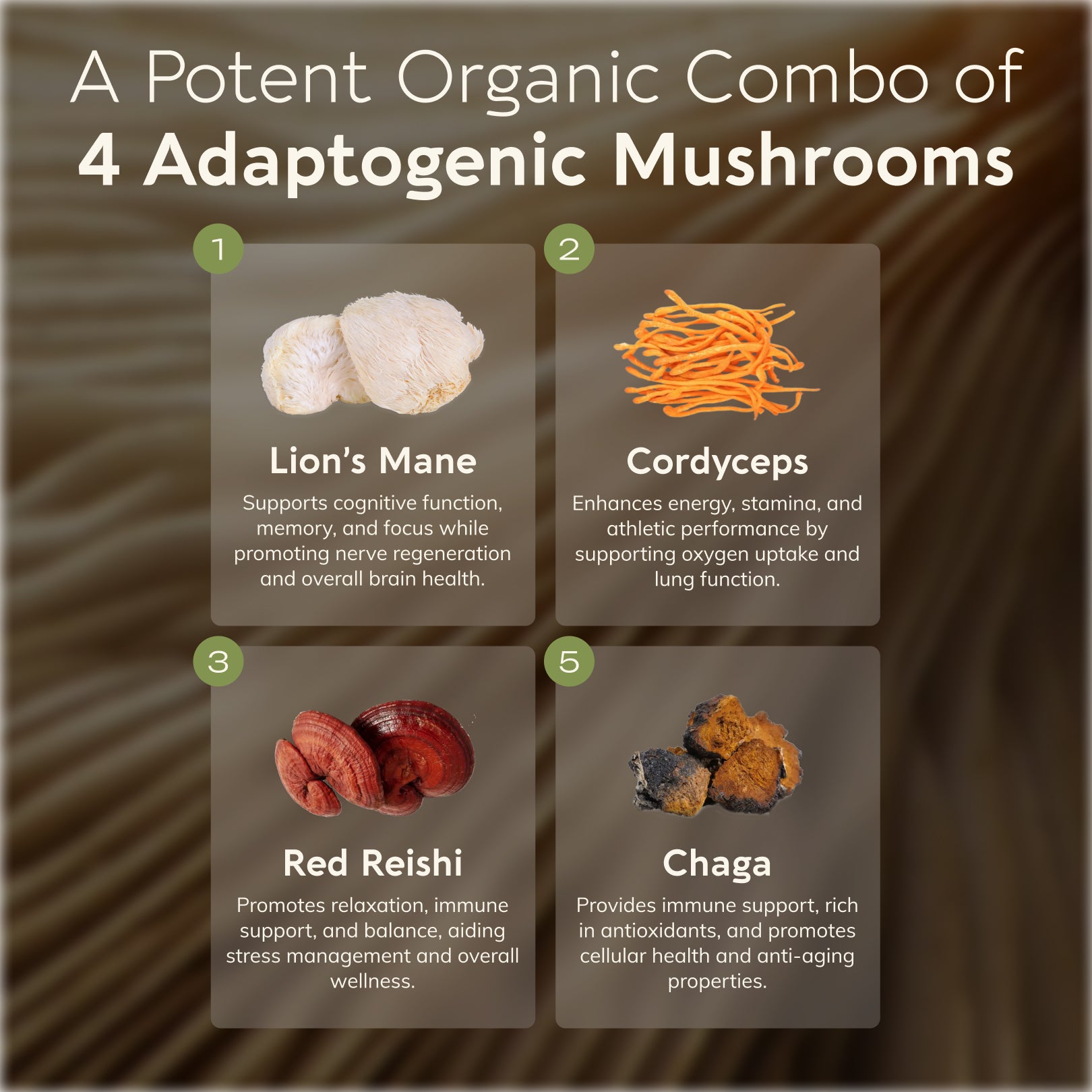 Organic Bulk Emperor's 4 Mushroom Blend 10:1  Extract Powder (1 KG / 2.2 LB) (10 Bags)