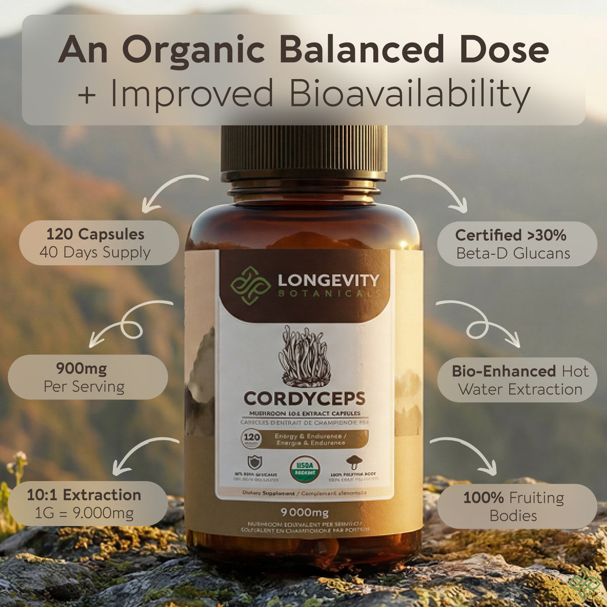 Organic Cordyceps Capsules Mushroom 10:1 Extract, image 2