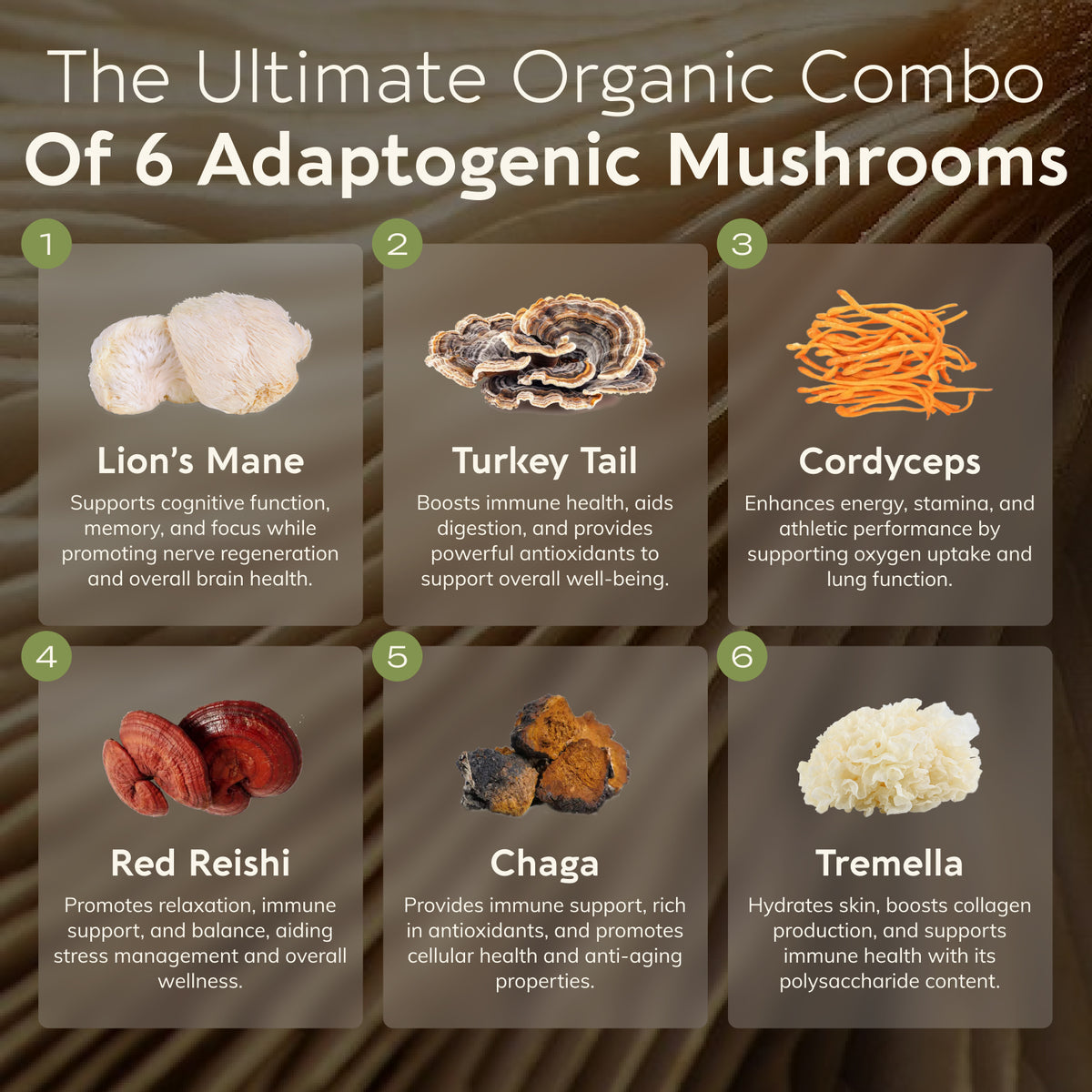 Organic Super Six Mushroom Blend Capsules 10:1 Extract, image 2