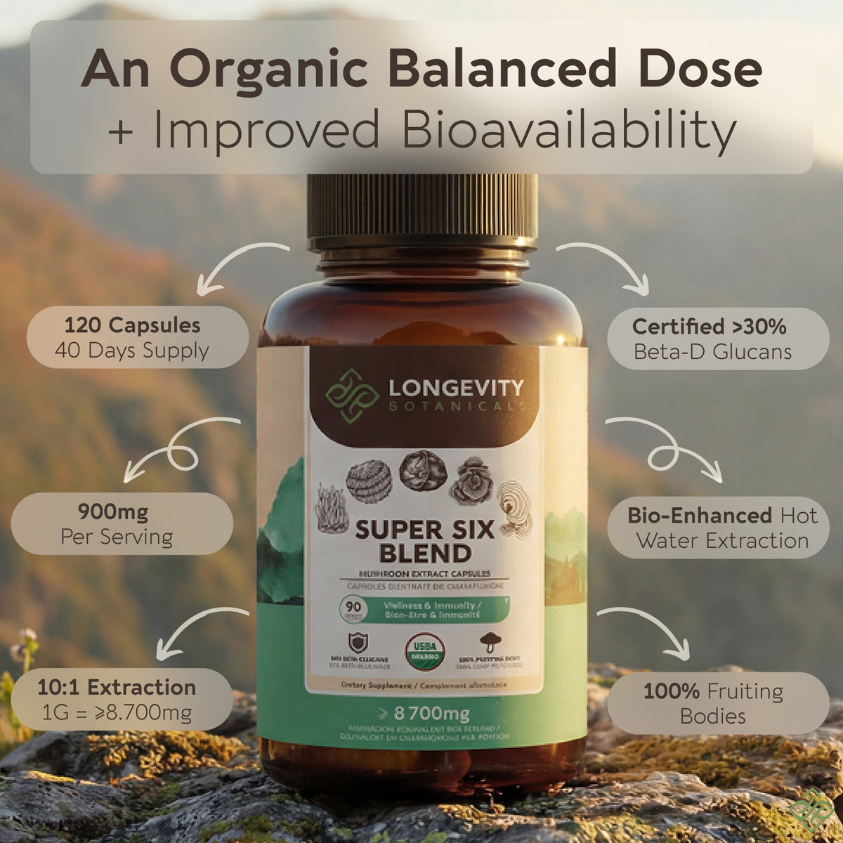 Organic Super Six Mushroom Blend Capsules 10:1 Extract, image 3