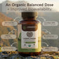 Organic Lion's Mane Capsules Mushroom 8:1 Extract (120 count) - Fuel for a Sharper Mind
