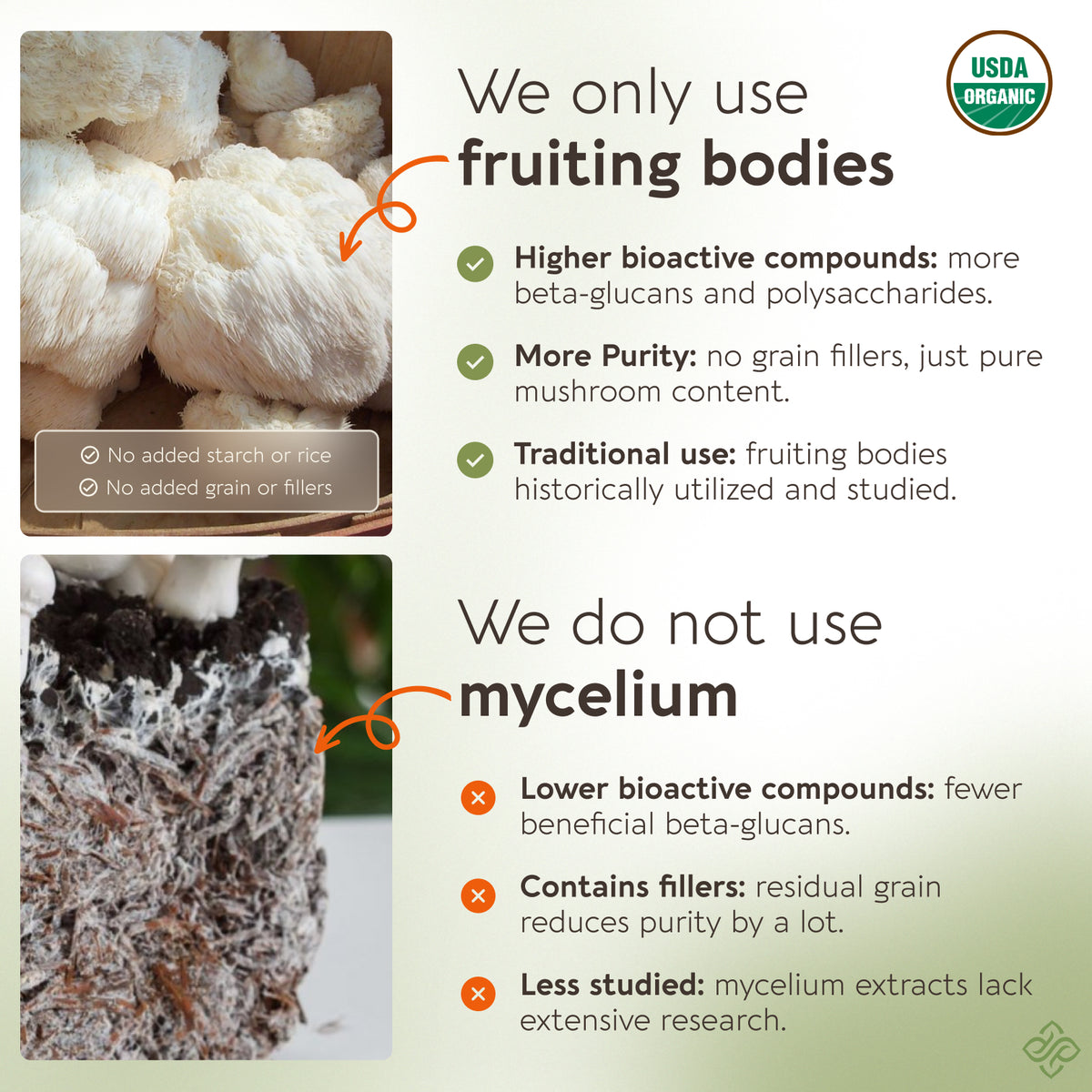 Organic Lion's Mane Capsules Mushroom 8:1 Extract, image 6