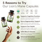 Organic Lion's Mane Capsules Mushroom 8:1 Extract (120 count) - Fuel for a Sharper Mind