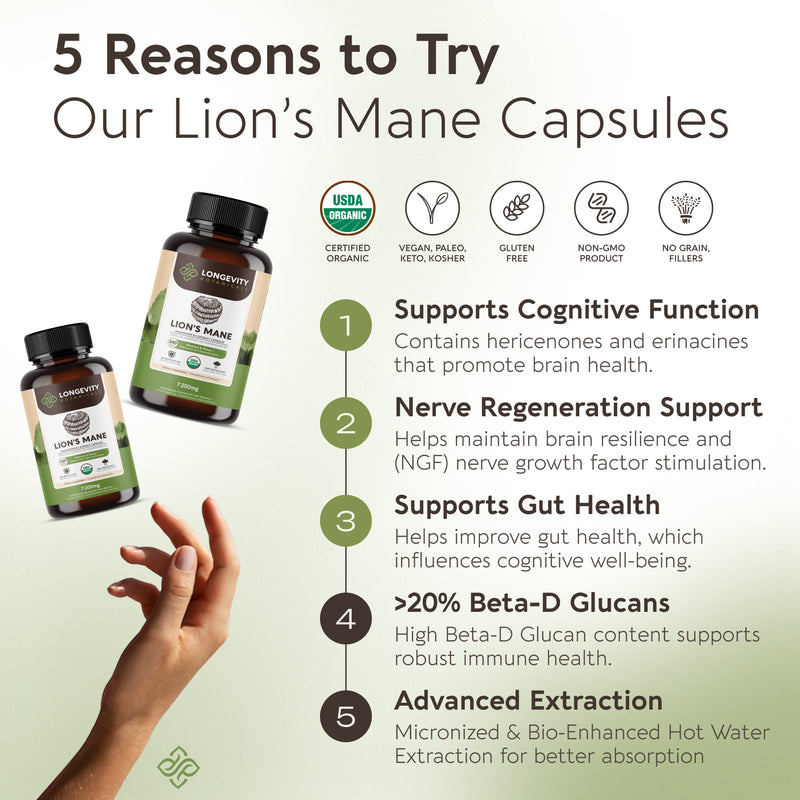 Organic Lion's Mane Capsules Mushroom 8:1 Extract, image 7