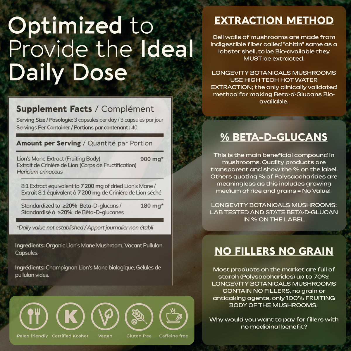 Organic Lion's Mane Capsules Mushroom 8:1 Extract, image 5