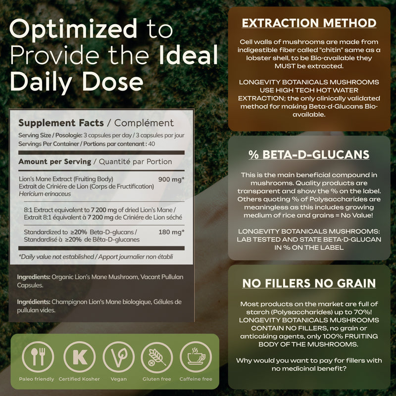Organic Lion's Mane Capsules Mushroom 8:1 Extract, image 5