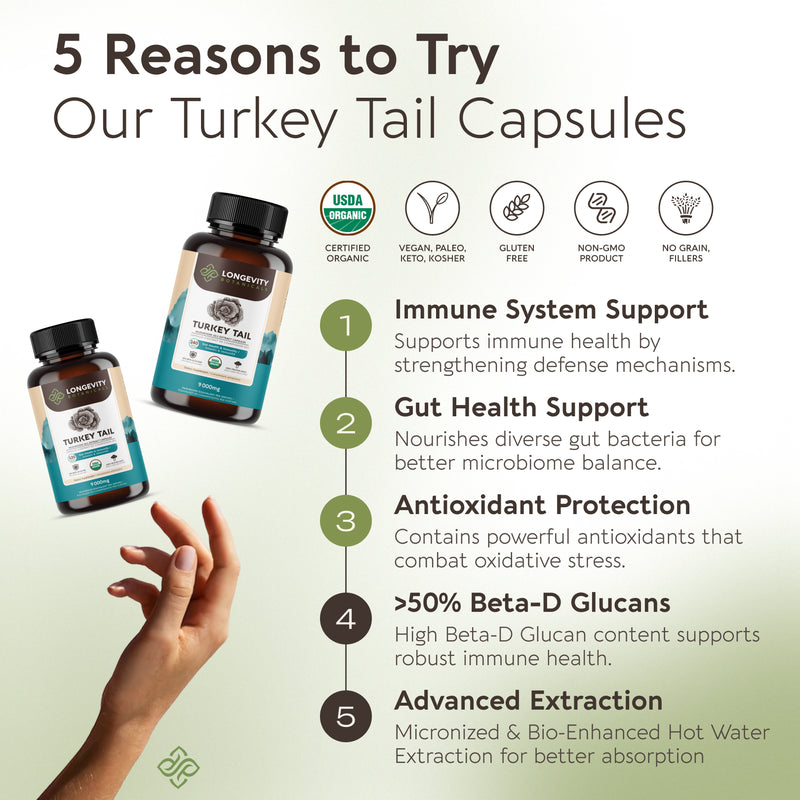 Organic Turkey Tail Capsules Mushroom 10:1 Extract, image 6