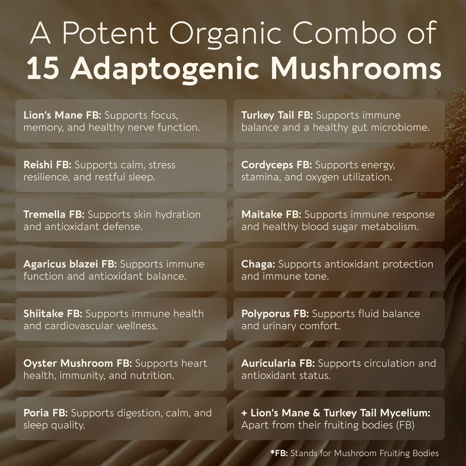 Power Blend 15 Mushroom Capsules 10:1 Extract (90 Count) - Complete Body & Mind Support