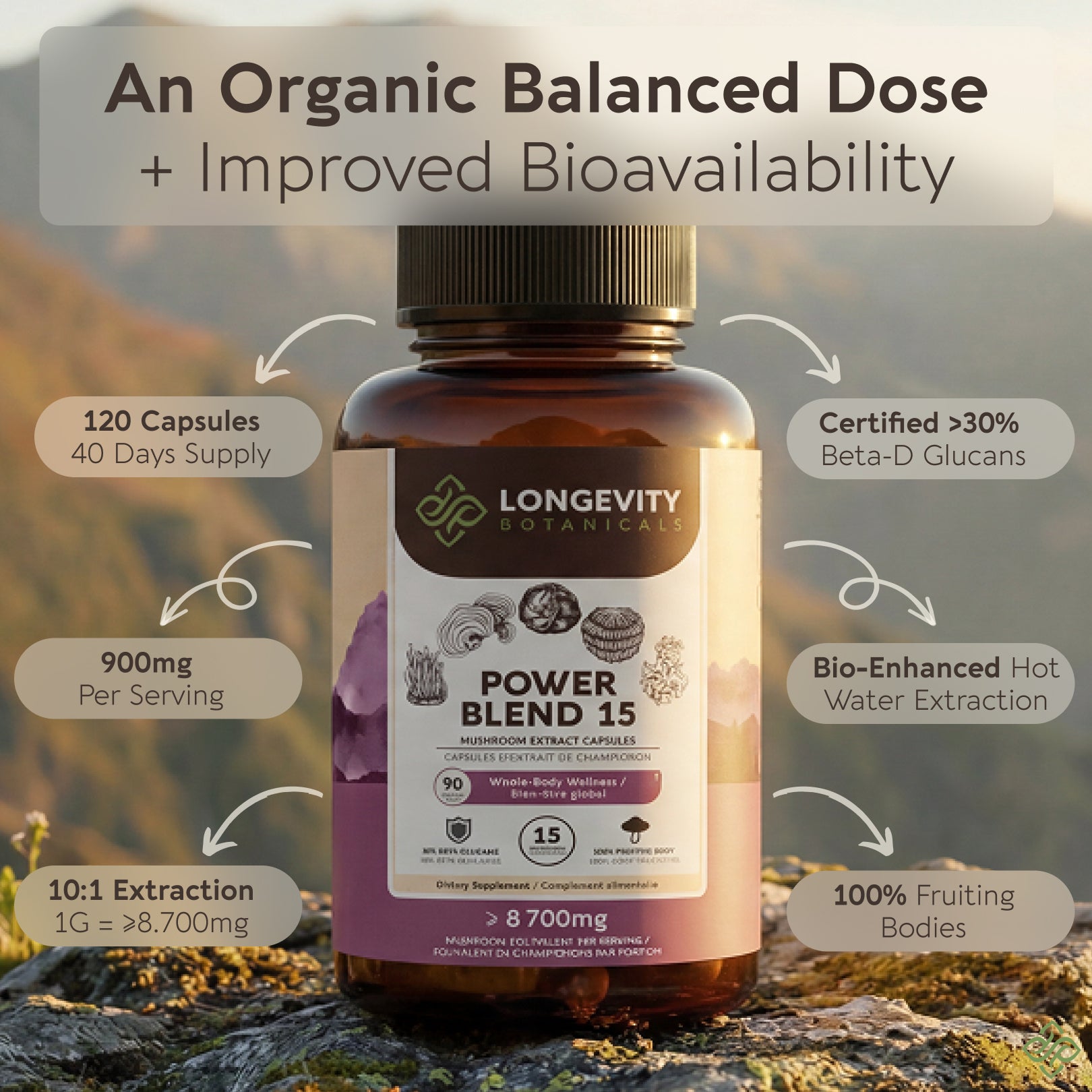 Power Blend 15 Mushroom Capsules 10:1 Extract (90 Count) - Complete Body & Mind Support