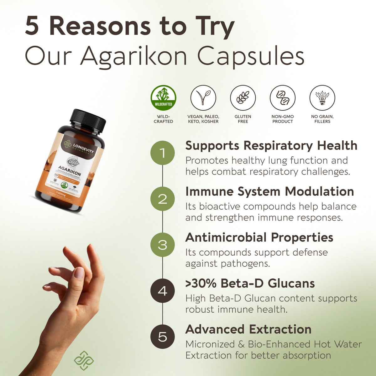 Wildcrafted Agarikon Capsules Mushroom 10:1 Extract, image 6