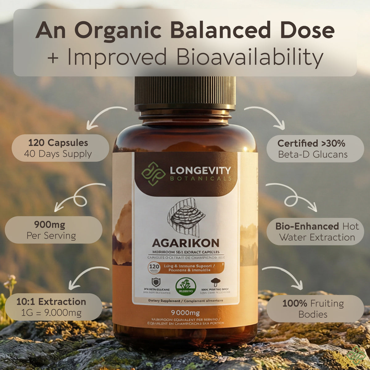Wildcrafted Agarikon Capsules Mushroom 10:1 Extract, image 2