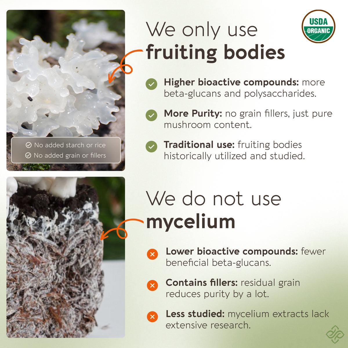 Organic Tremella Capsules Mushroom 10:1 Extract, image 3