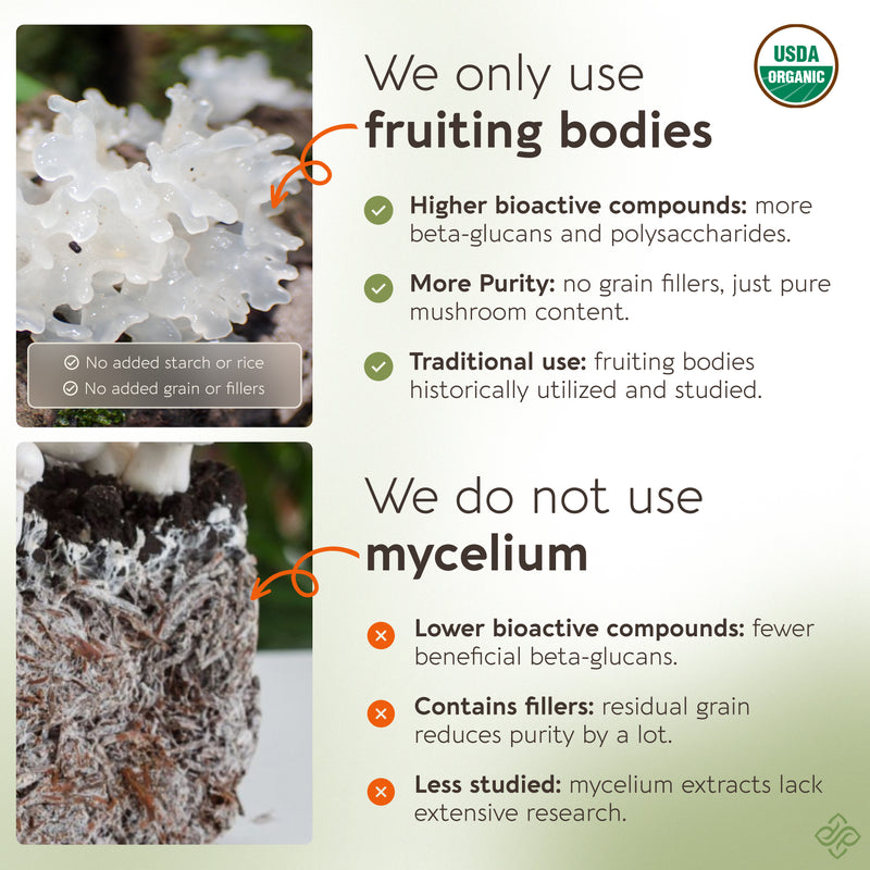 Organic Tremella Capsules Mushroom 10:1 Extract, image 3